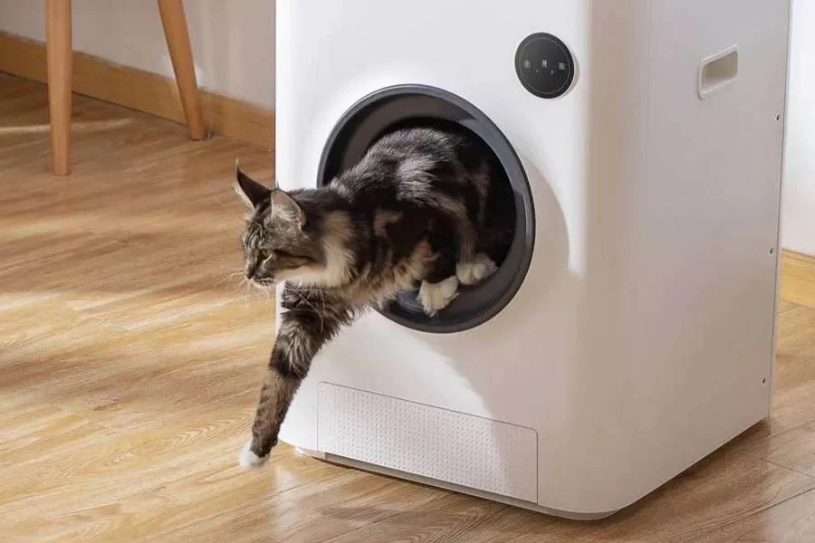 clean cat litter